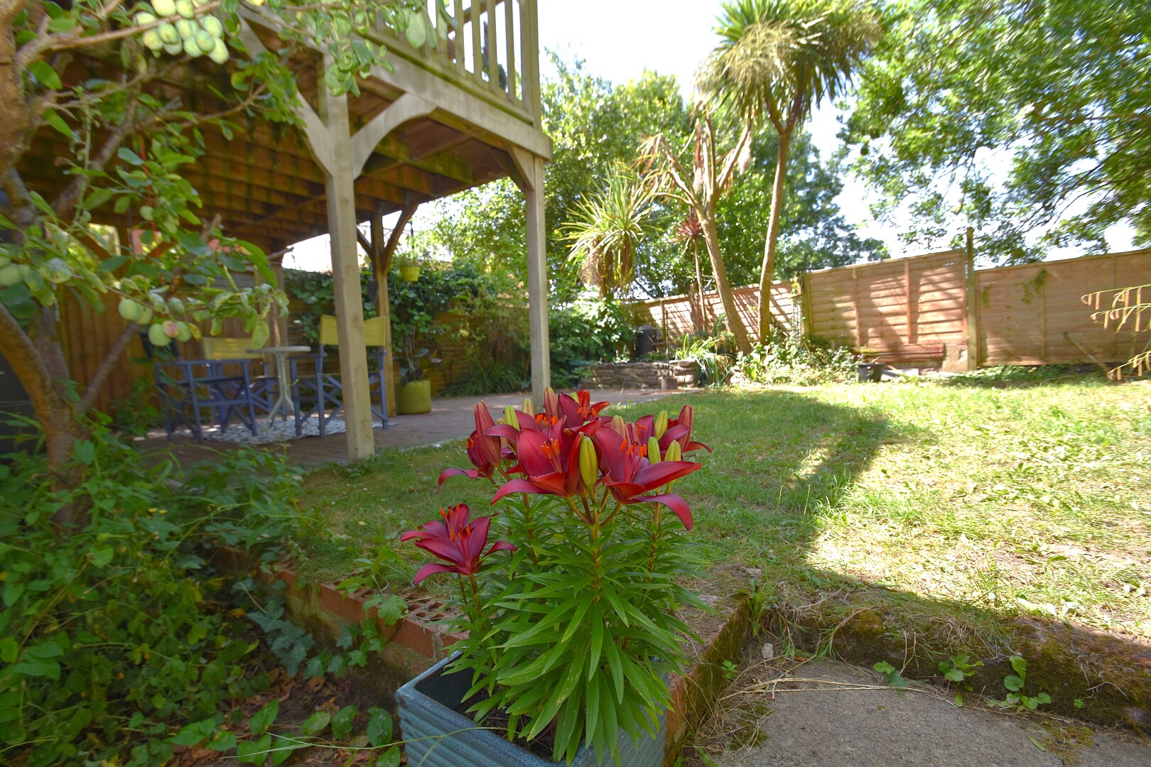 Slider Image